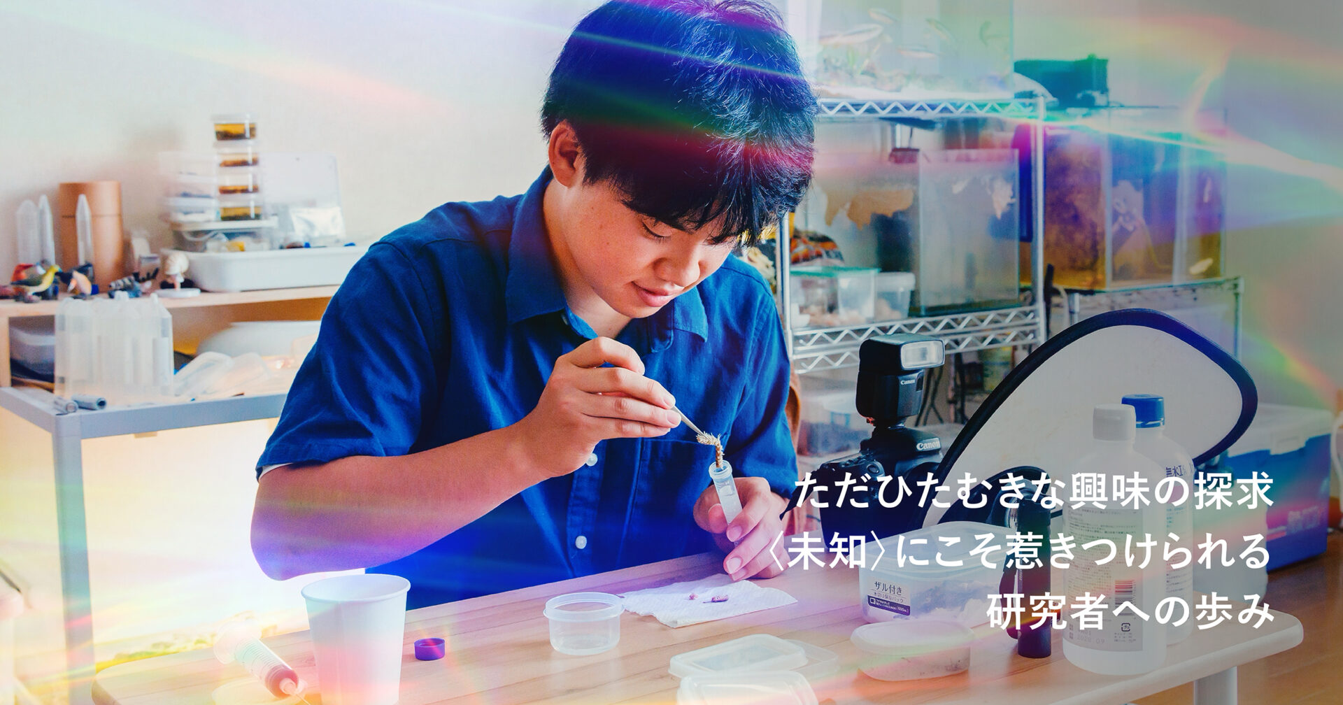 高知大学_保田